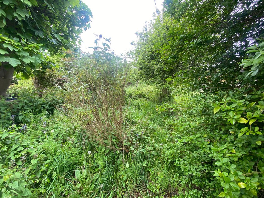 Property image 21 of 21