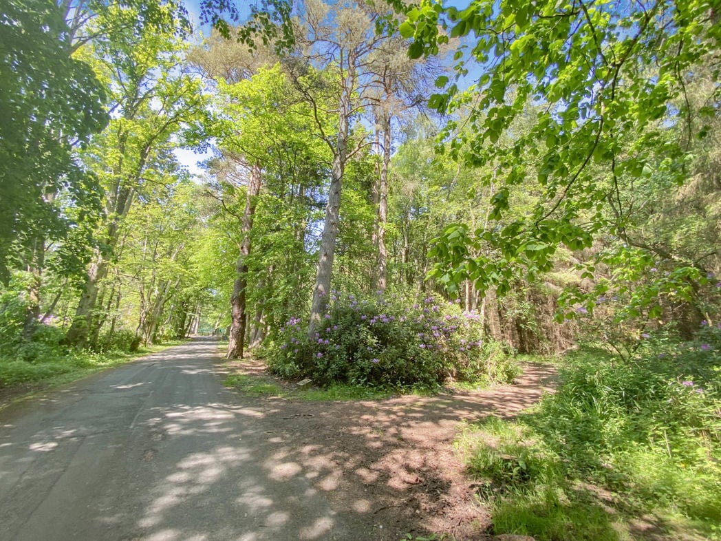 Property image 3 of 19