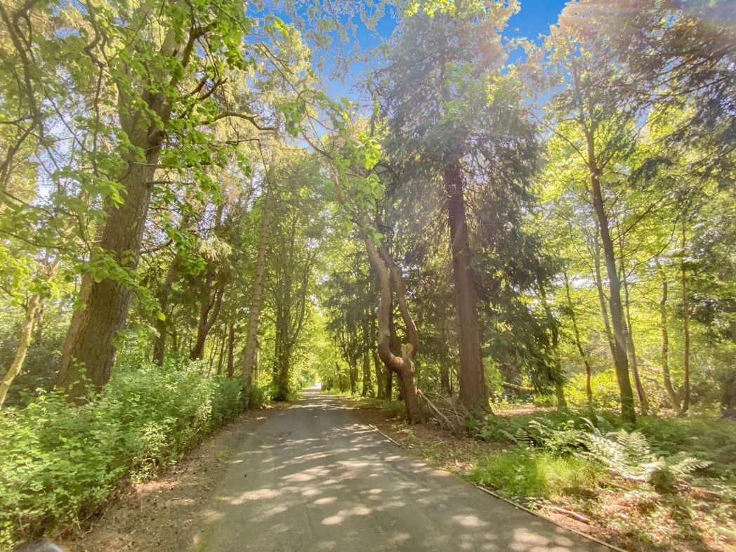 Property image 5 of 19