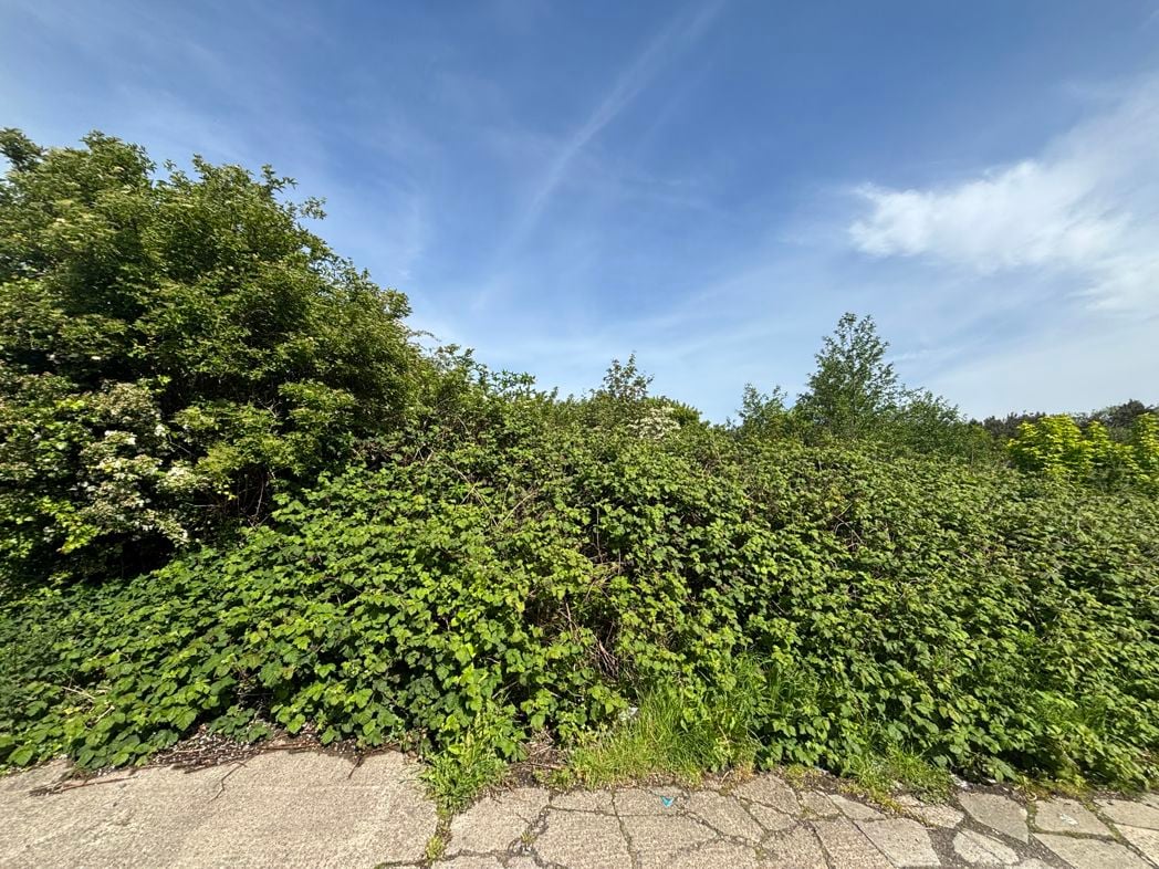 Property image 13 of 16