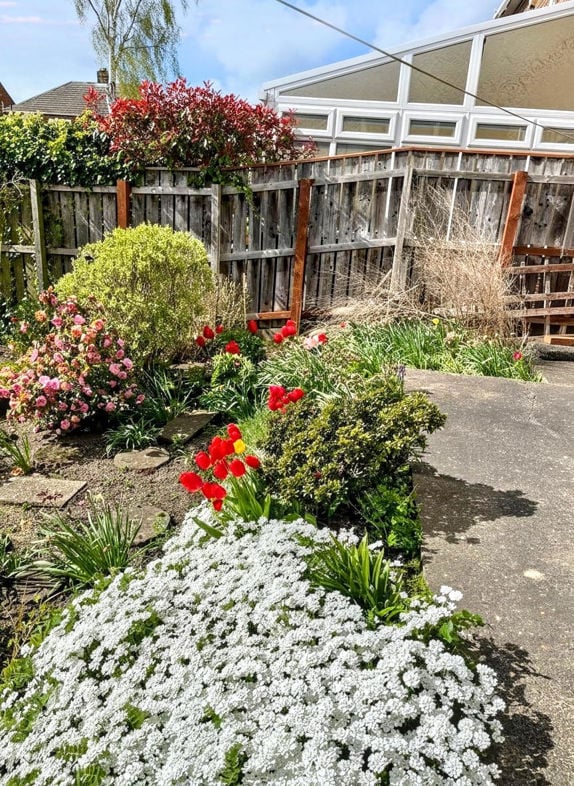 Property image 16 of 18