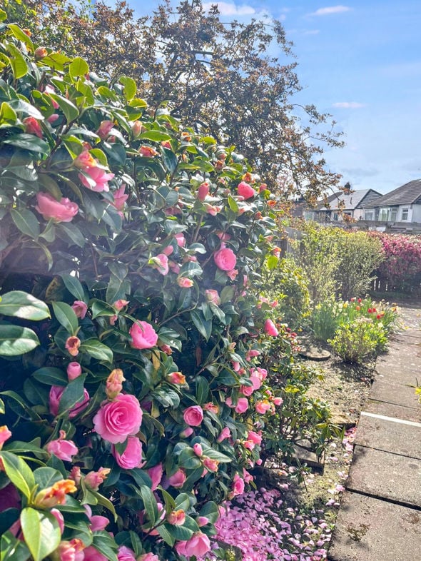 Property image 17 of 18