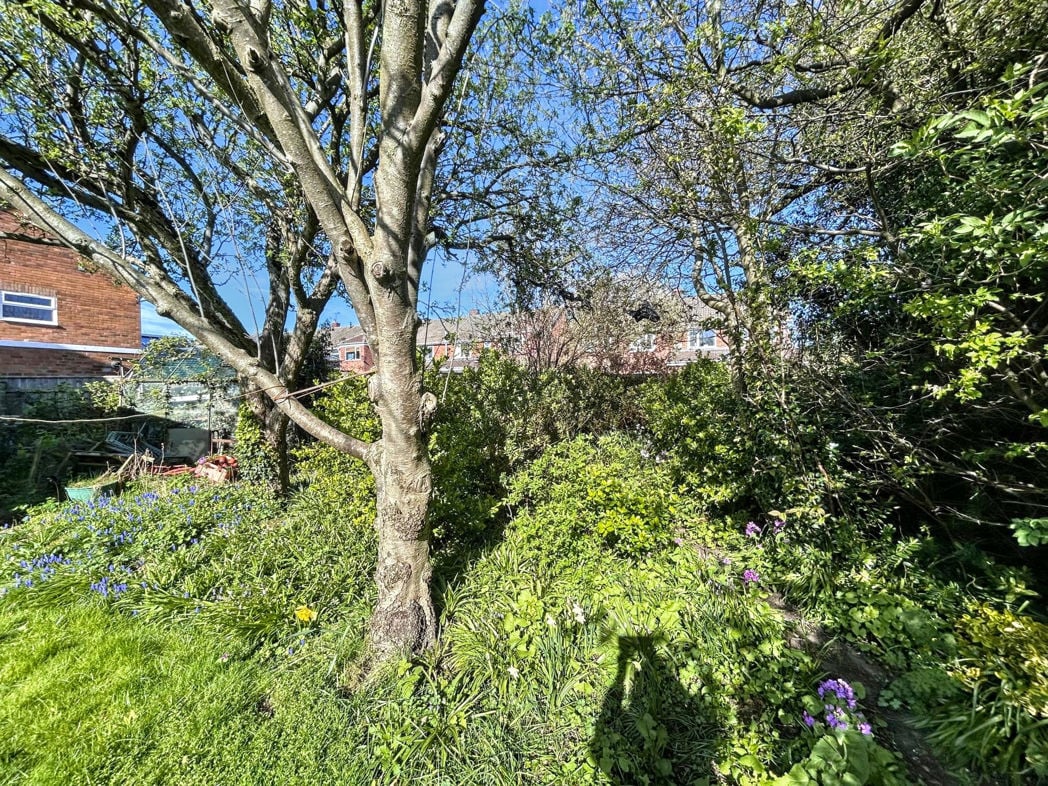 Property image 13 of 17