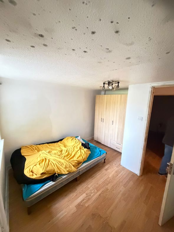 Property 32
