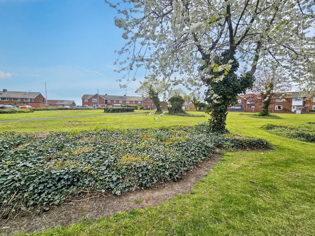 Property image 14 of 16