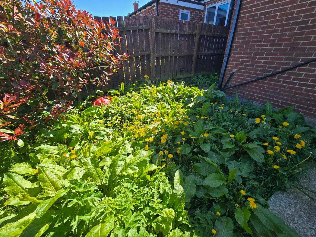 Property image 13 of 13