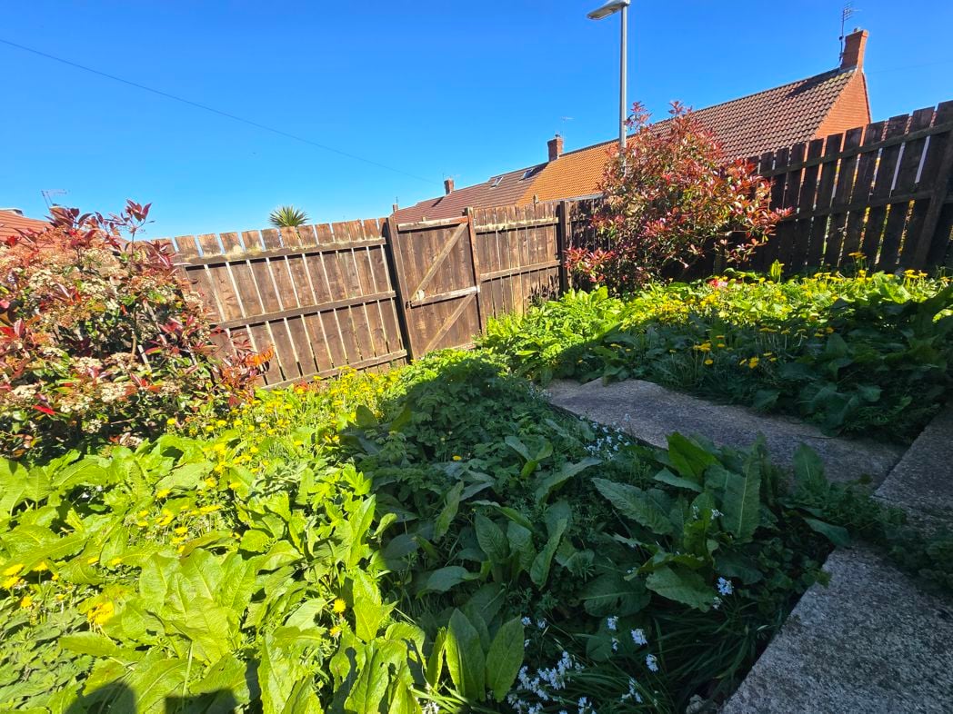 Property image 11 of 13