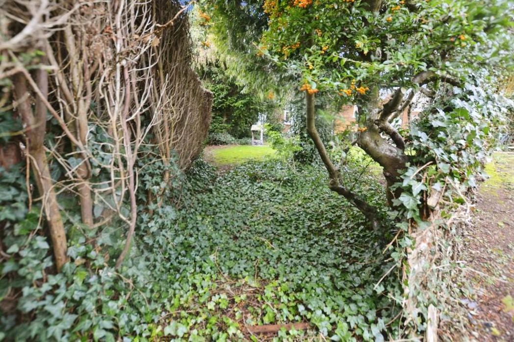 Property image 23 of 25
