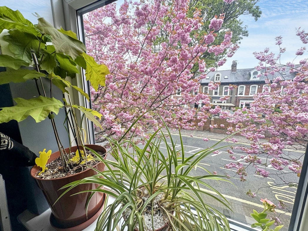 Property image 9 of 22