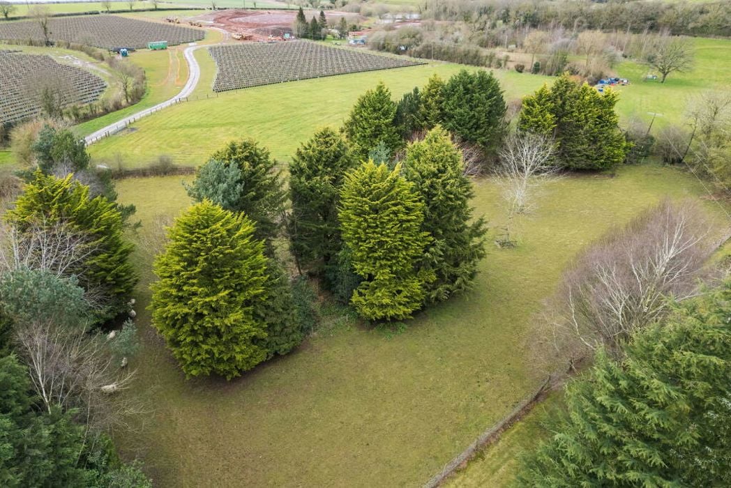 Property image 23 of 27