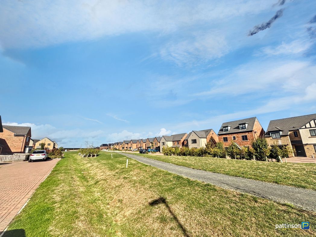 Property 25