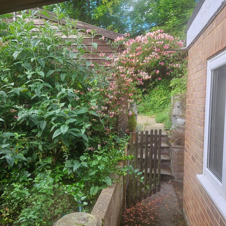 Property image 17 of 23