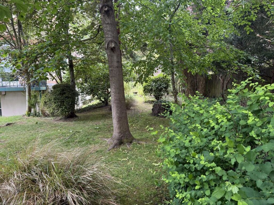 Property image 12 of 16