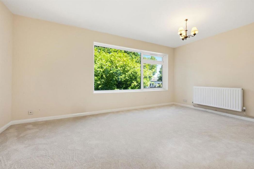 Property 17