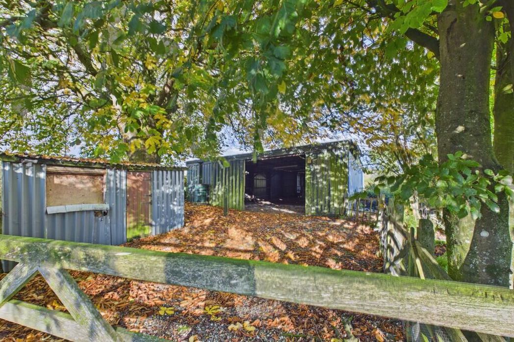 Property 28