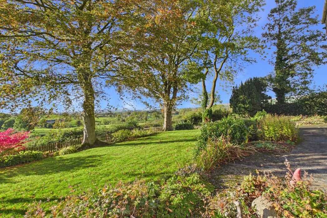 Property 31
