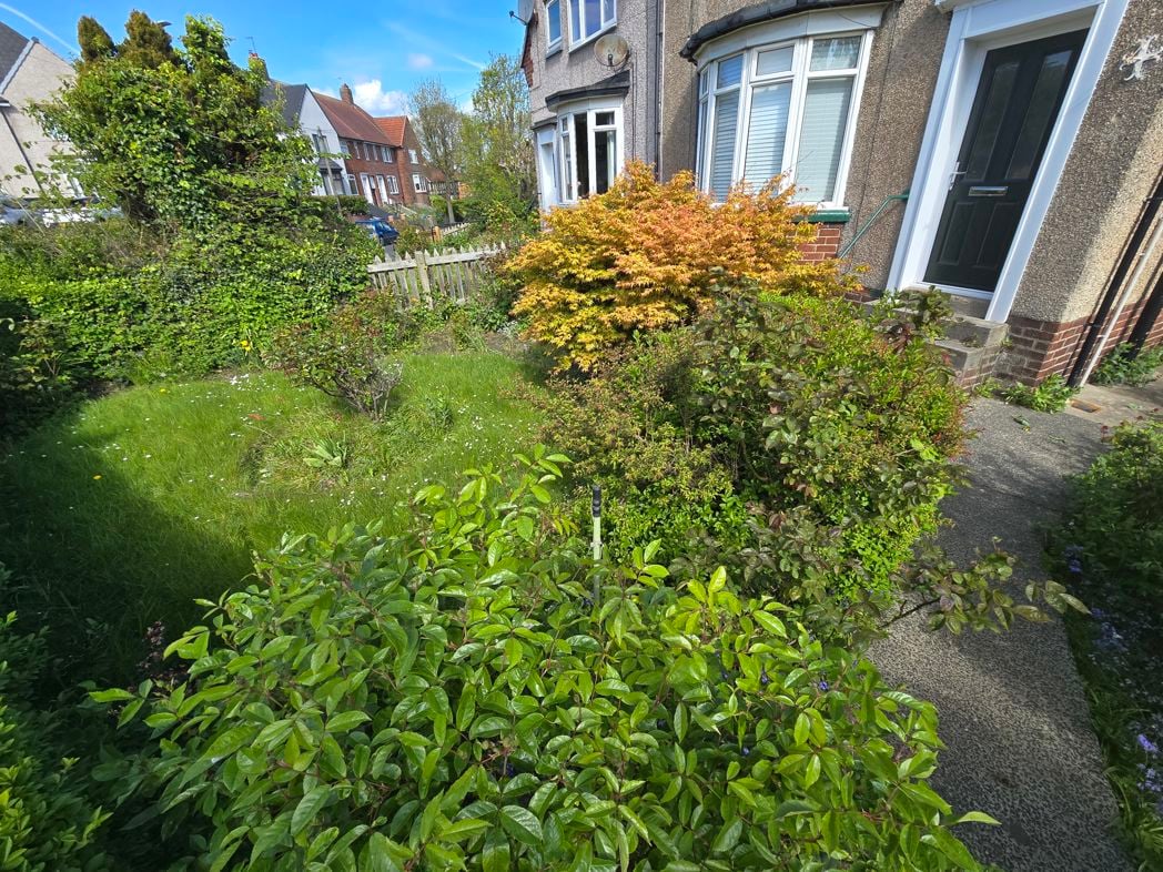 Property image 12 of 14