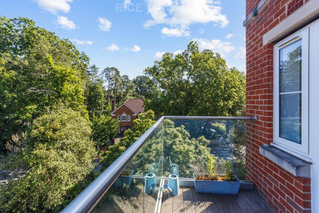 Property 24
