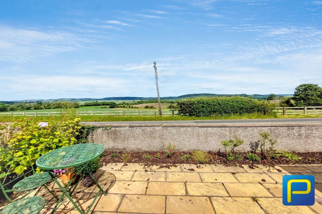 Property 31