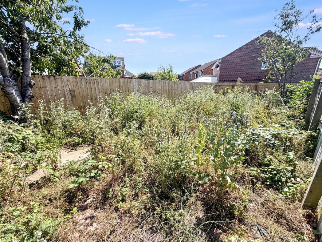 Property 20
