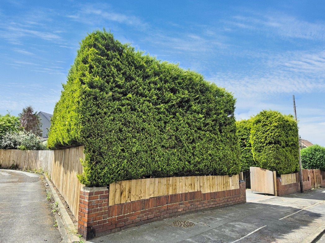 Property 37