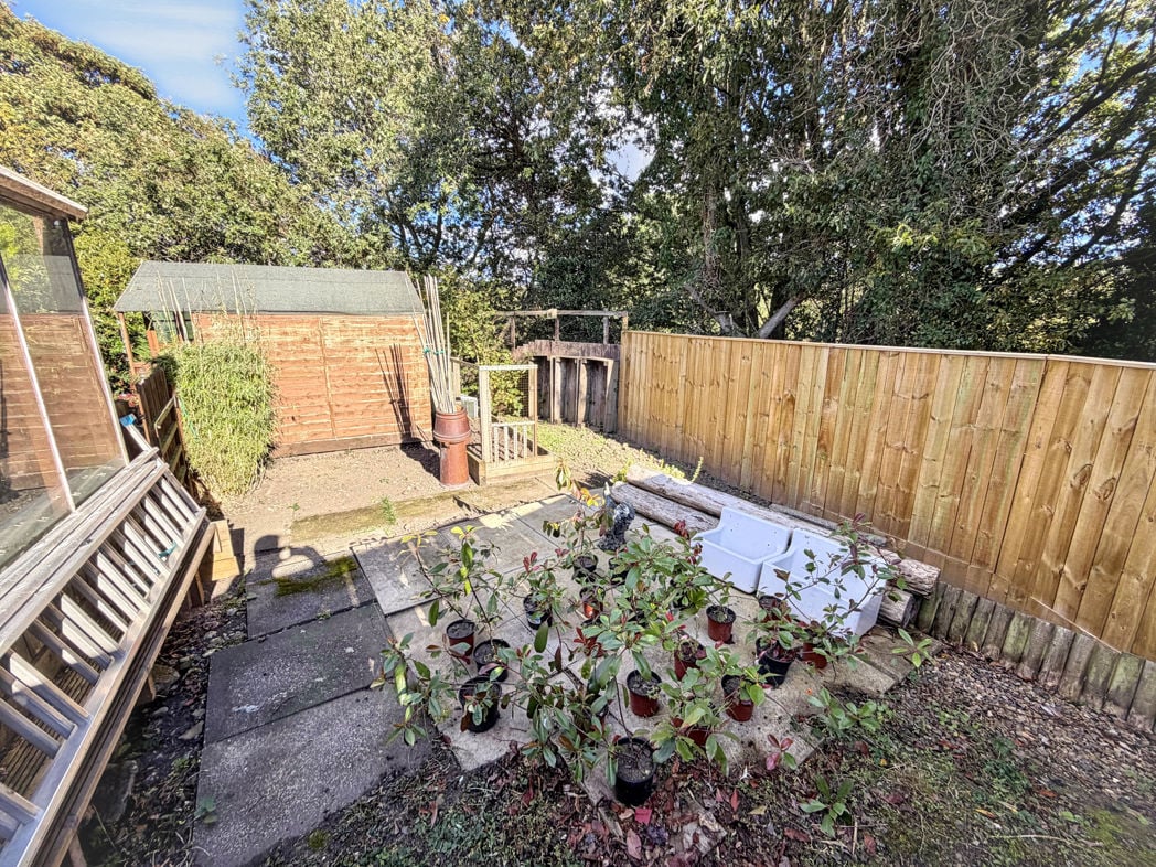 Vegetable garden