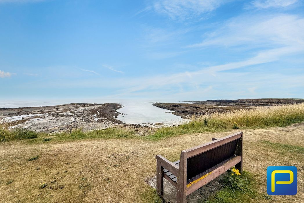 A Remarkable Position Beside the Sea