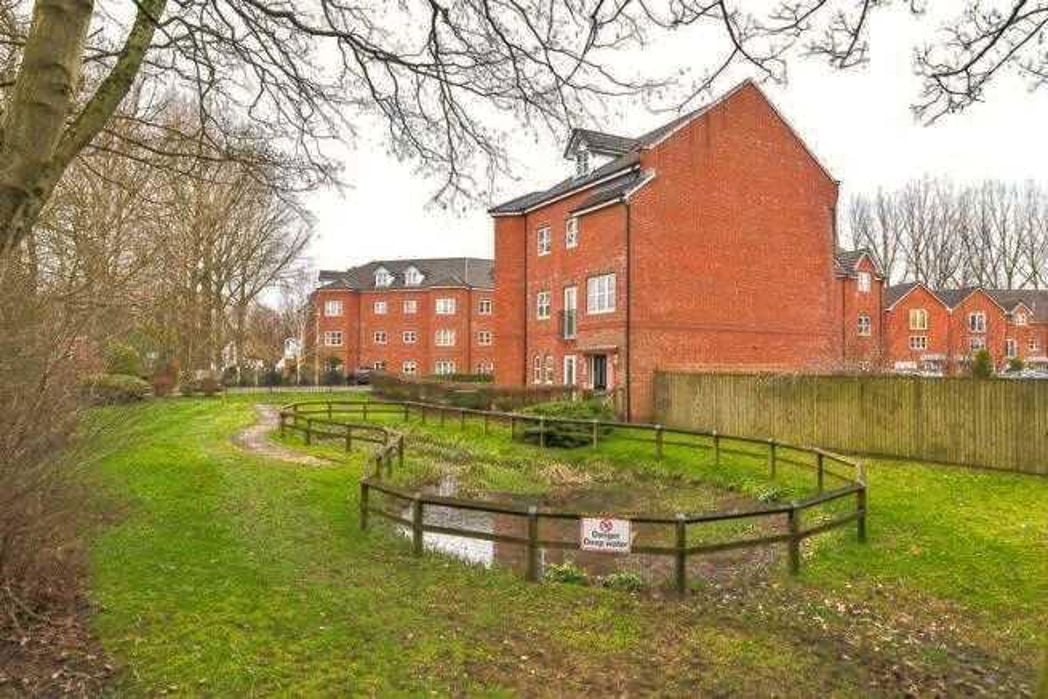 Property 13