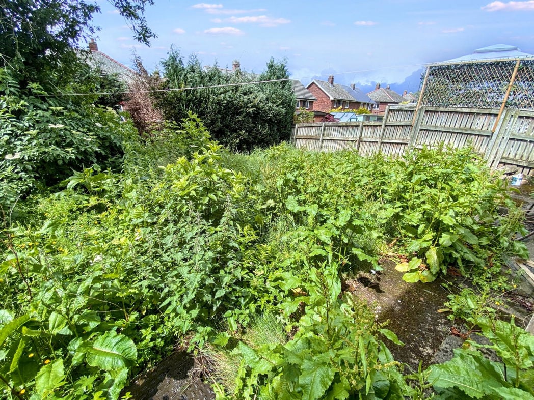 Rear garden