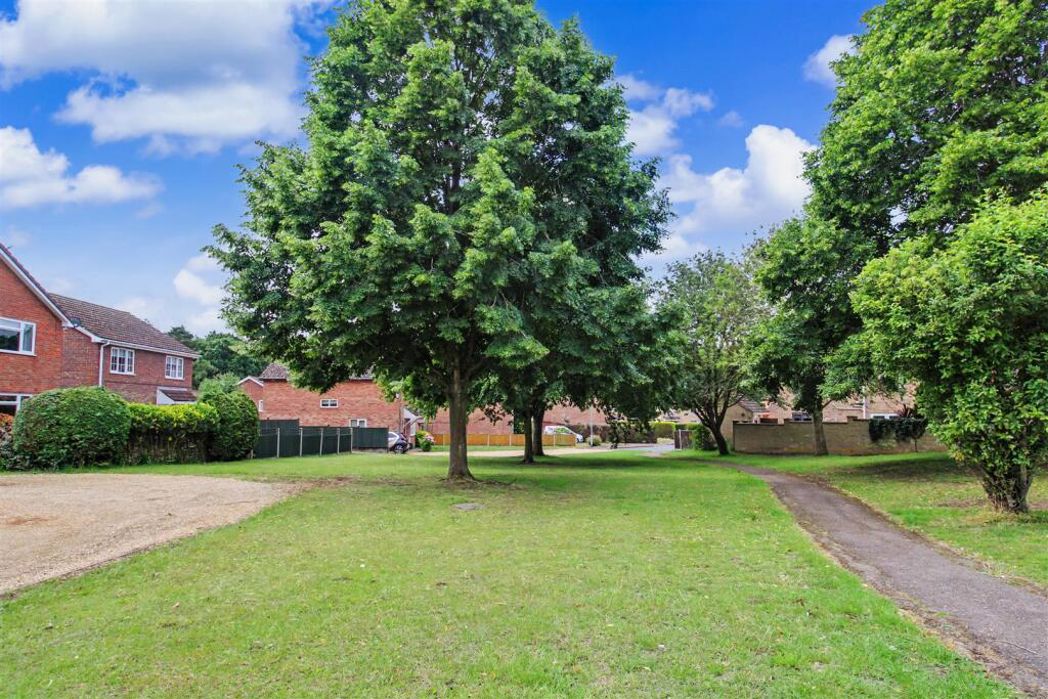 Property 11