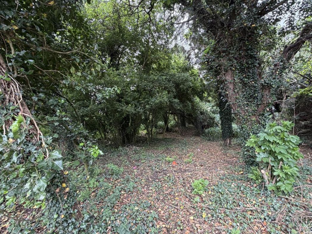 Property image 12 of 13