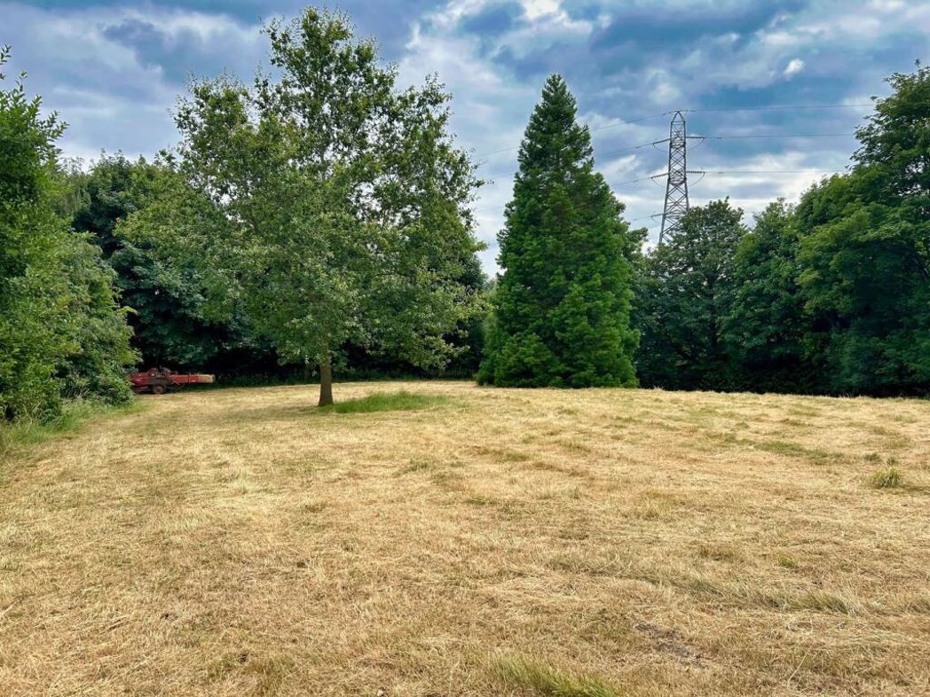 Property 25