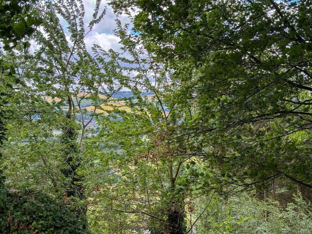 Property 25