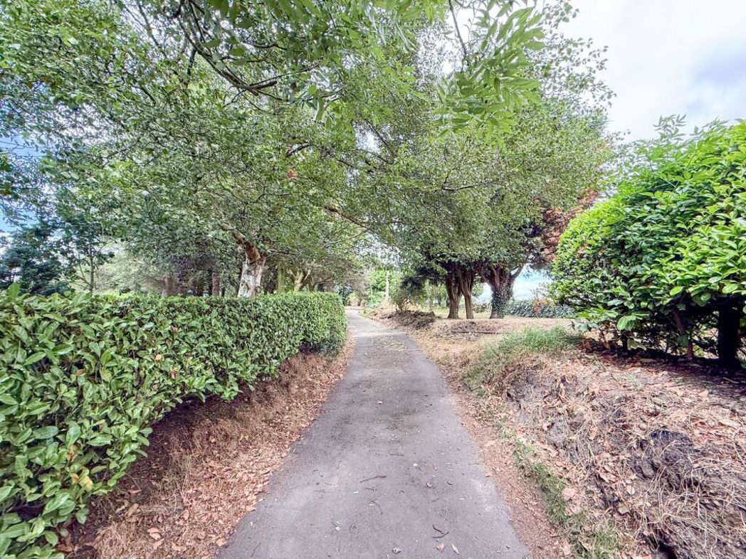Property 44