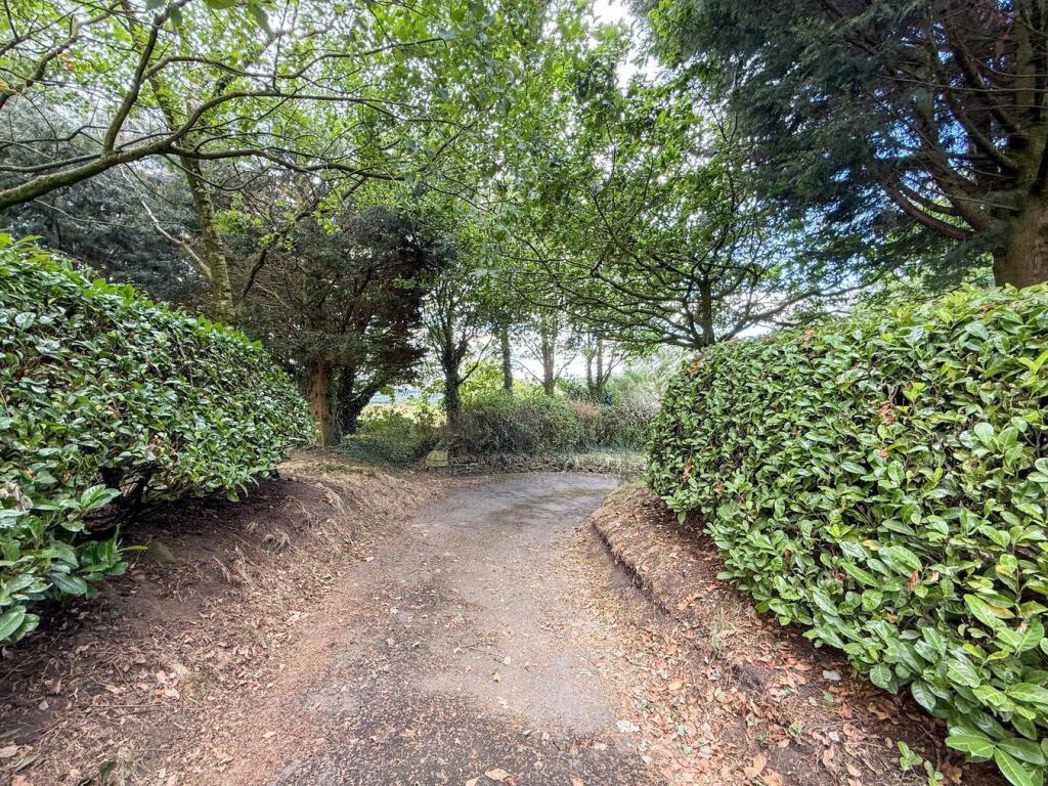 Property 46