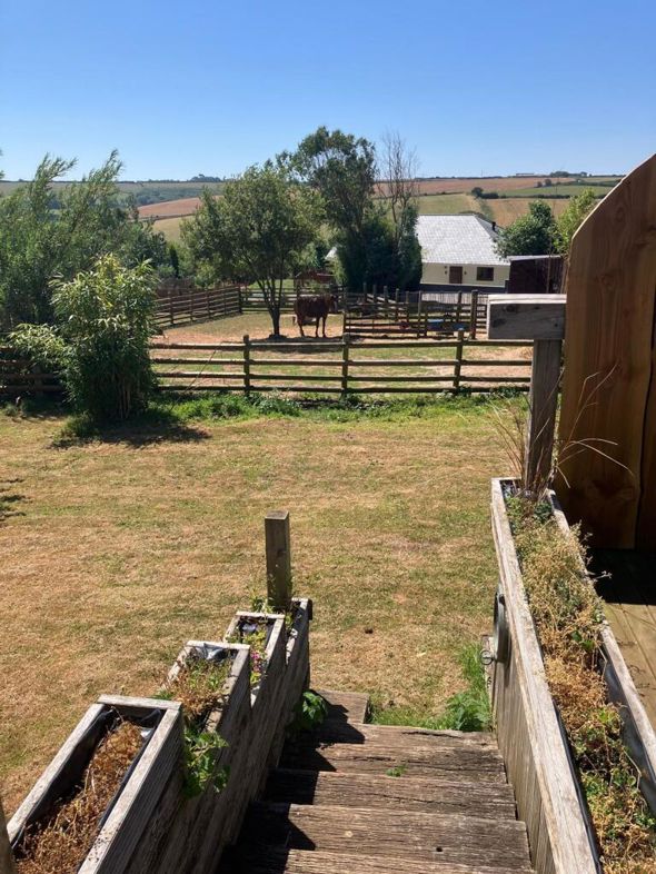 Property image 20 of 21