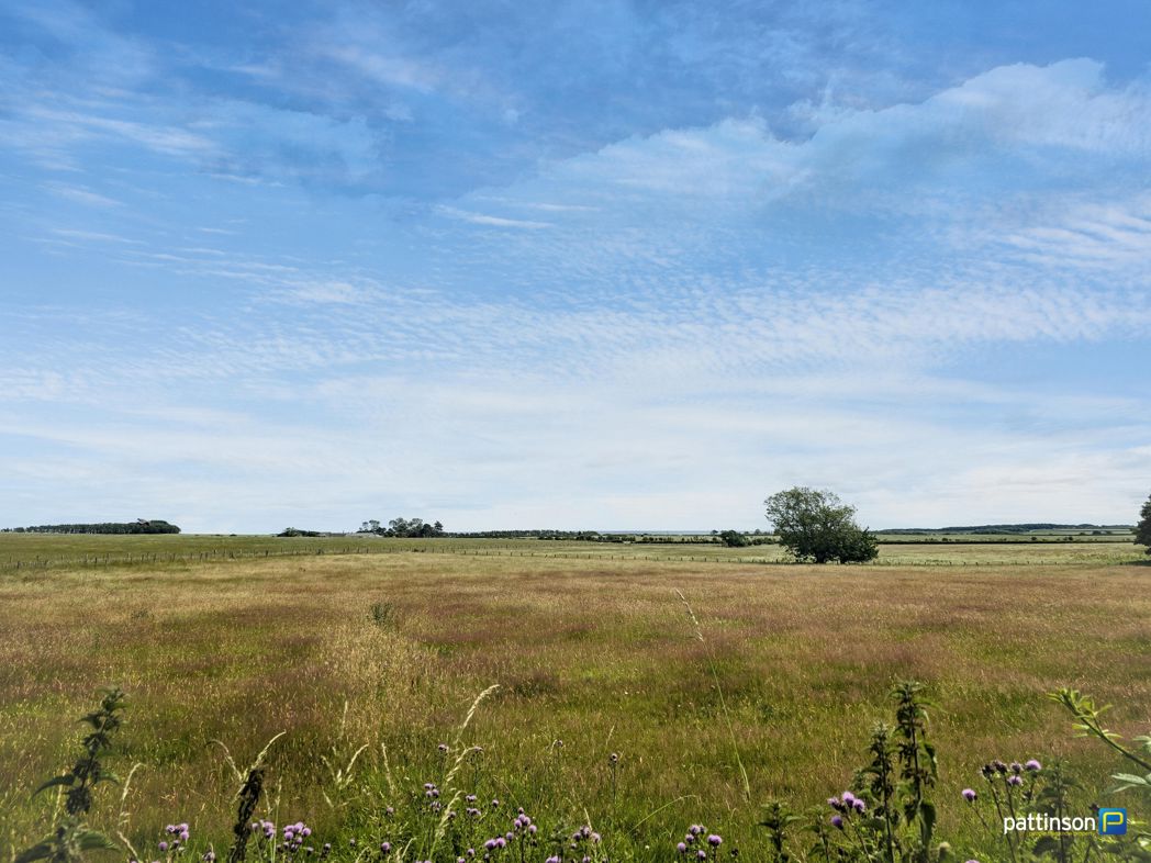 Property 25