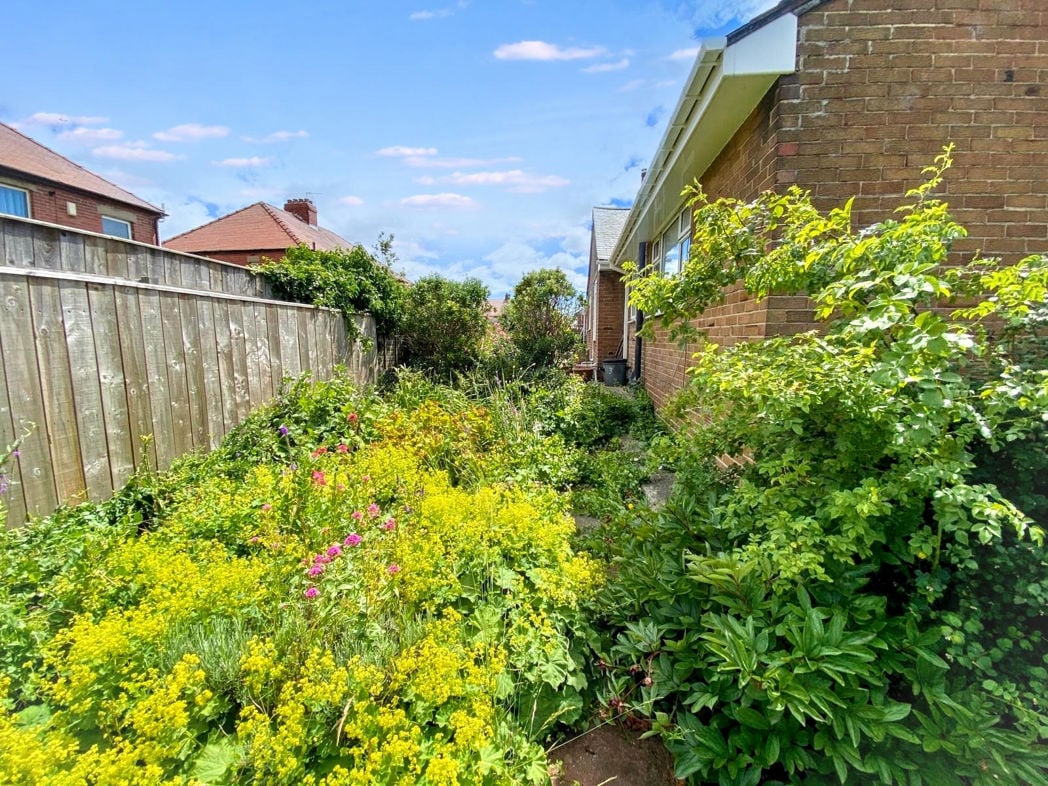 Property 25