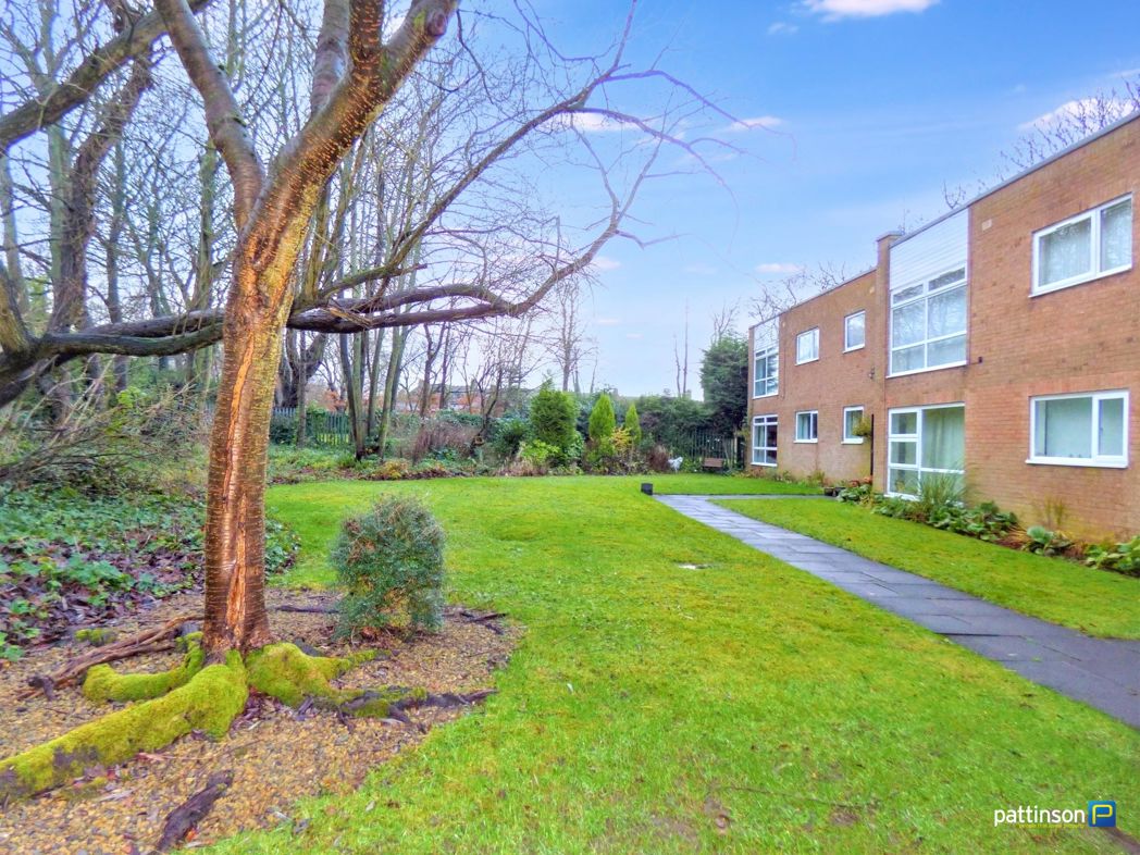 Property 1