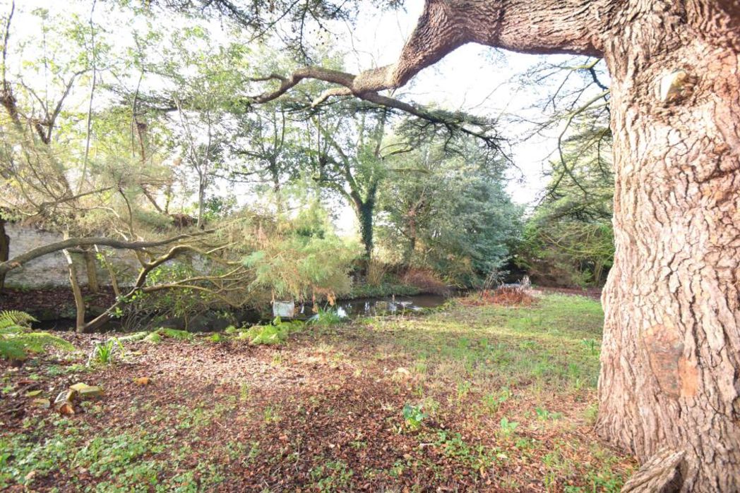 Property 20