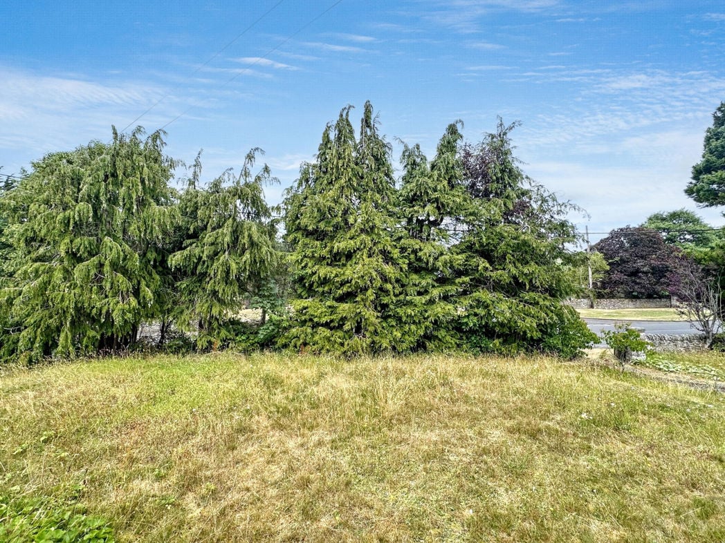 Property 31