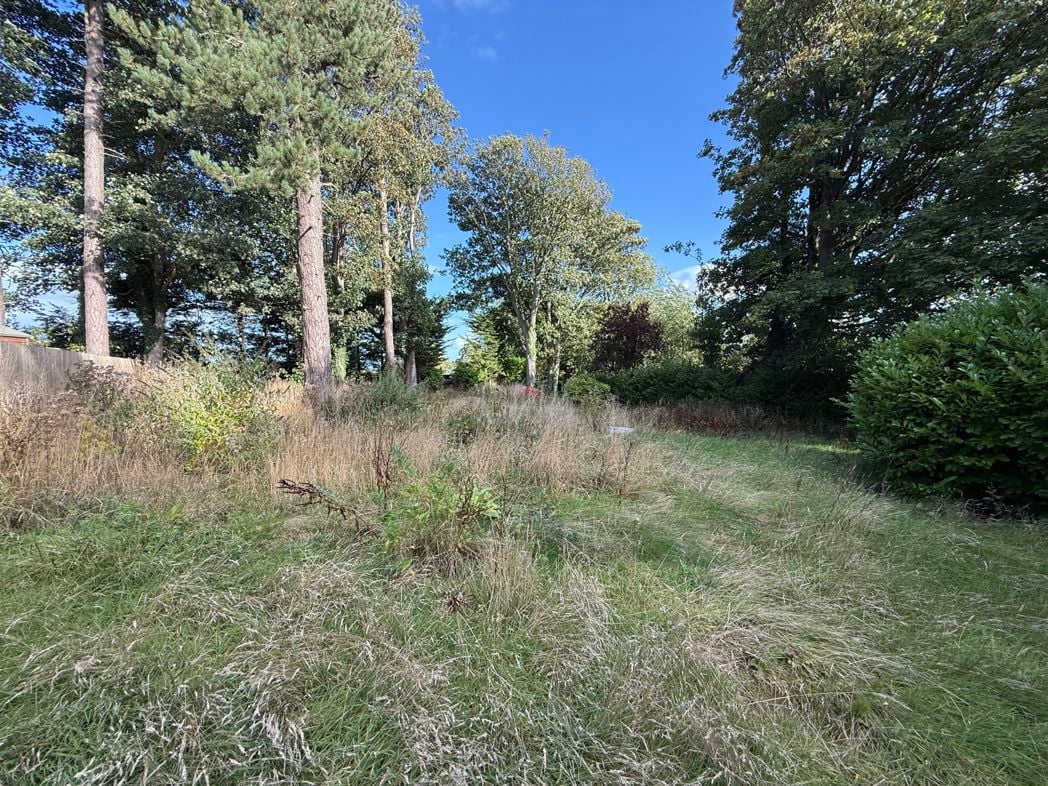 Property 1