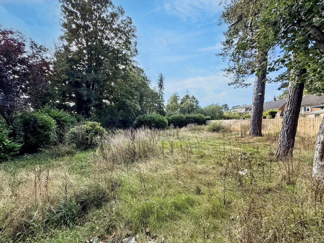 Property 0