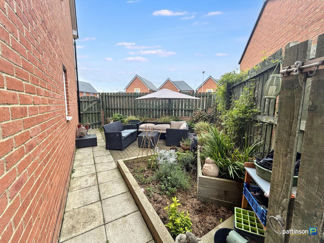 Patio Area