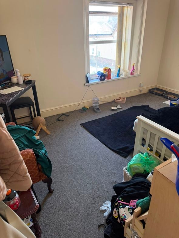 Property 13