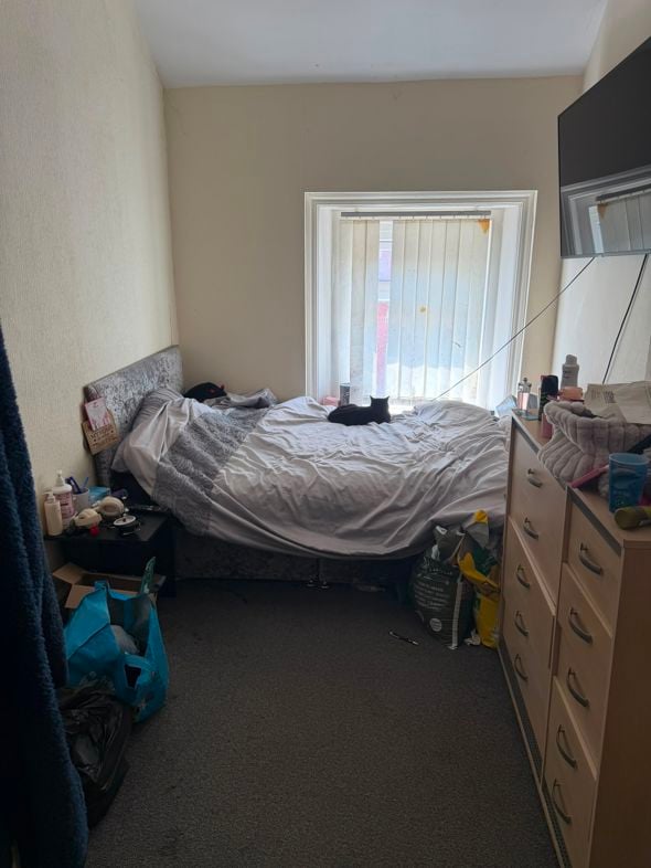 Property 15