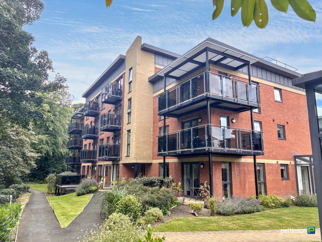 Property 20