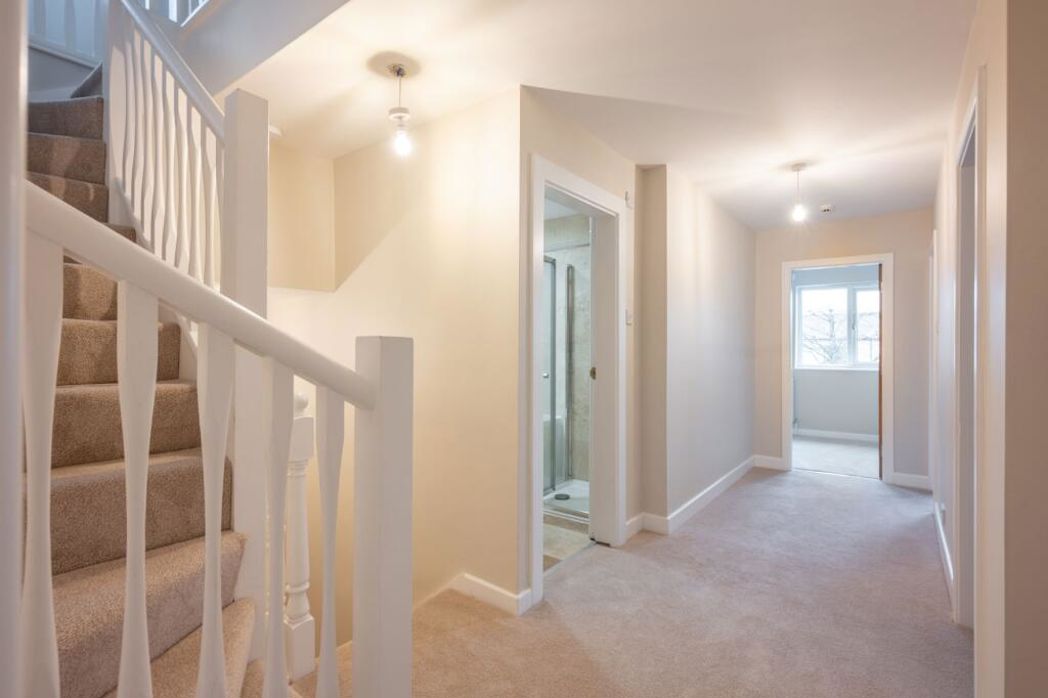 Property 38