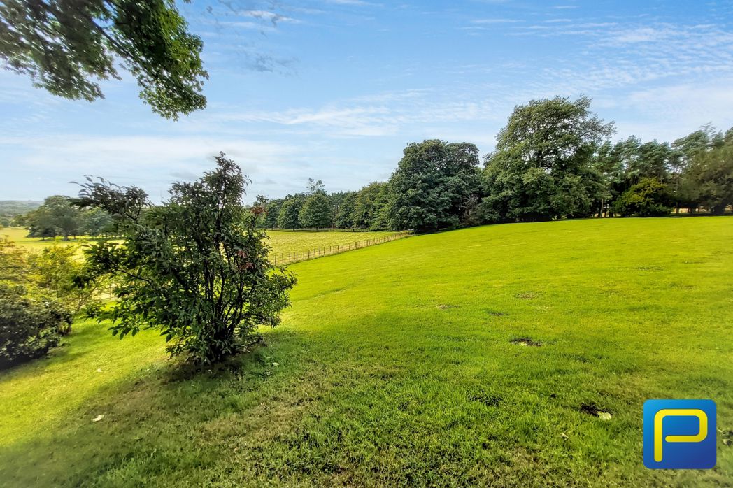 Property 23