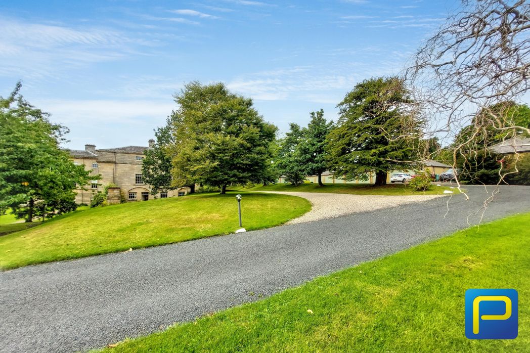 Property 27